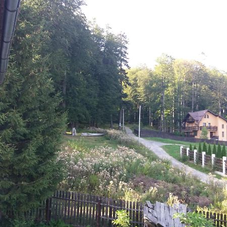Apartament La Poteca Ursului Appartement Buşteni Buitenkant foto