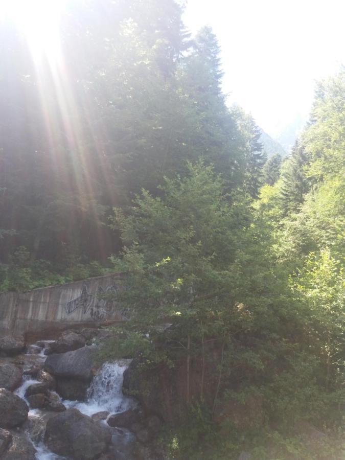 Apartament La Poteca Ursului Appartement Buşteni Buitenkant foto
