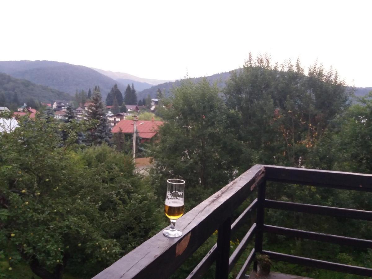 Apartament La Poteca Ursului Appartement Buşteni Buitenkant foto